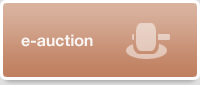 e-auction